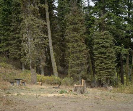 Bald Mountain Campground