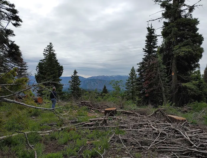 Bald Mountain Campground Picture 2