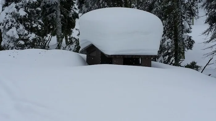 Bald Mountain Campground Picture 5