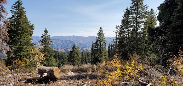 Bald Mountain Campground Picture 6