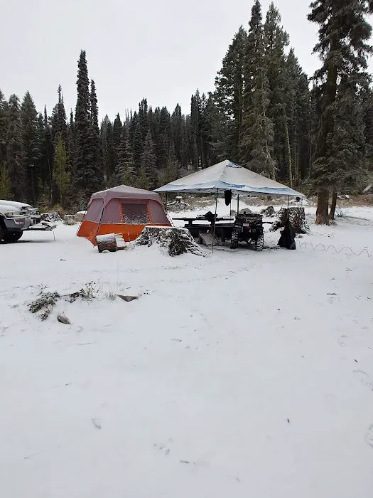 Bald Mountain Campground Picture 9