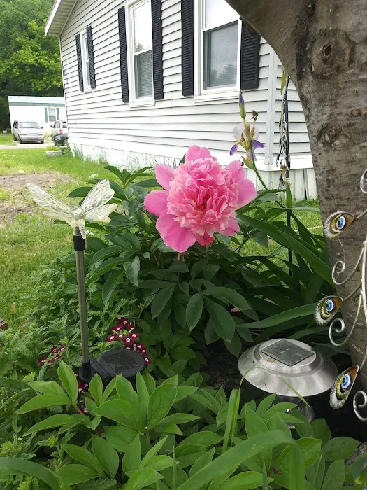 Broadview Estates Picture 1