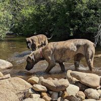 Granite Creek Camp Spot ico