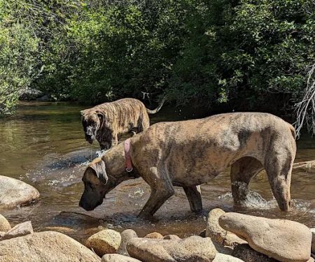 Granite Creek Camp Spot