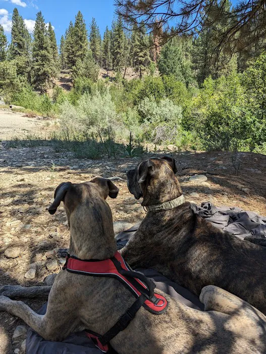 Granite Creek Camp Spot Picture 3