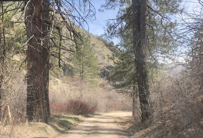 Granite Creek Camp Spot Picture 8