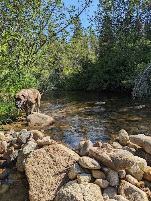 Granite Creek Camp Spot Picture 6