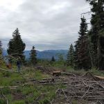 Badger Creek Campground