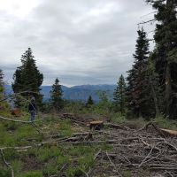 Badger Creek Campground ico