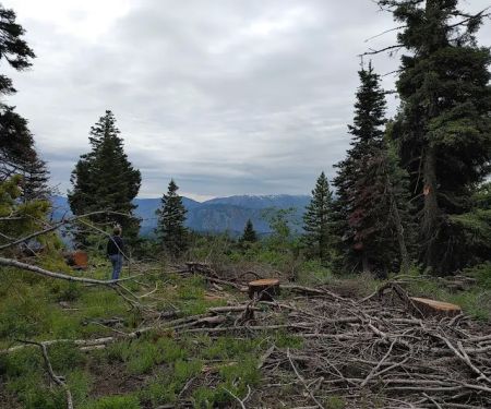 Badger Creek Campground