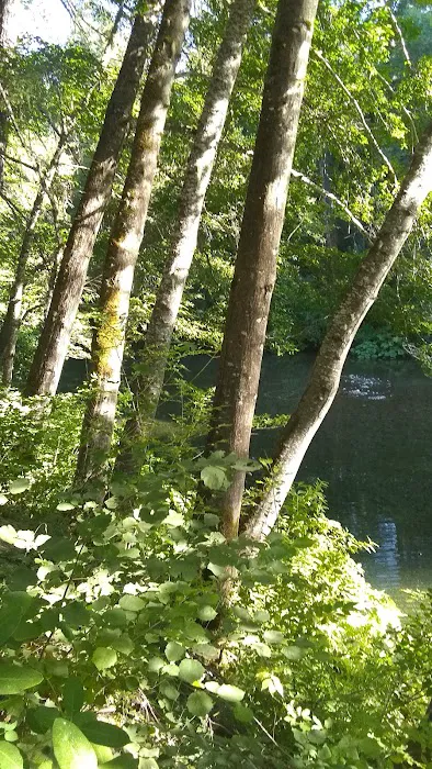 Scott Flat Campground Picture 1