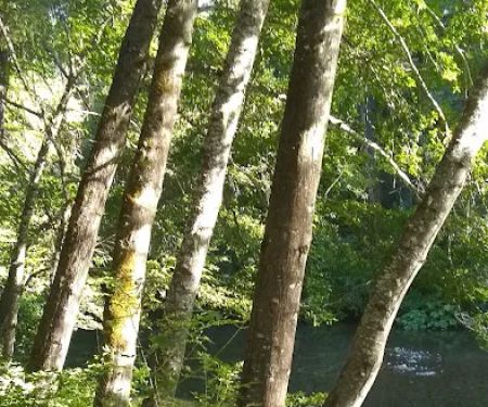 Scott Flat Campground