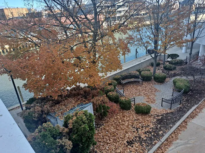 Ravinia Anchor Bay Picture 2