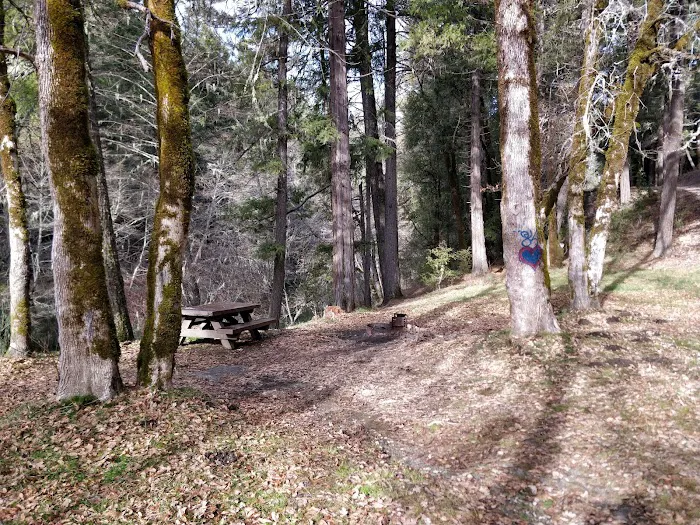 Scott Flat Cg Picture 1
