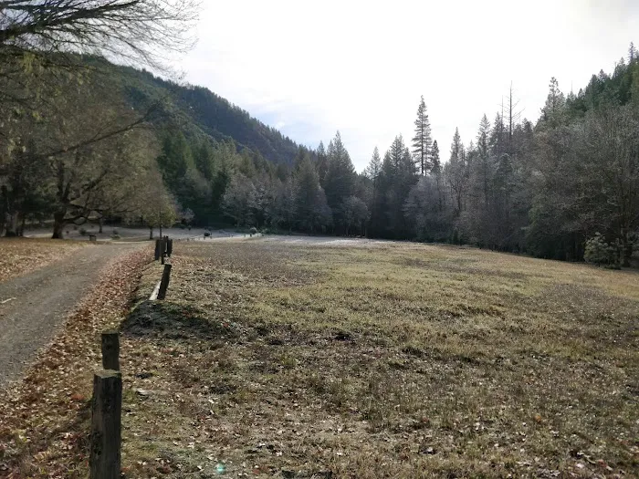 Scott Flat Cg Picture 3