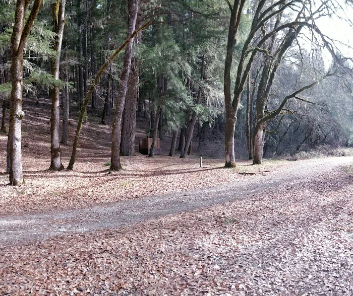 Scott Flat Cg Picture 2
