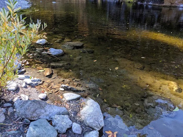 Hells Gate Campground Picture 2