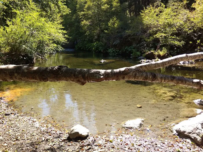 Hells Gate Campground Picture 6