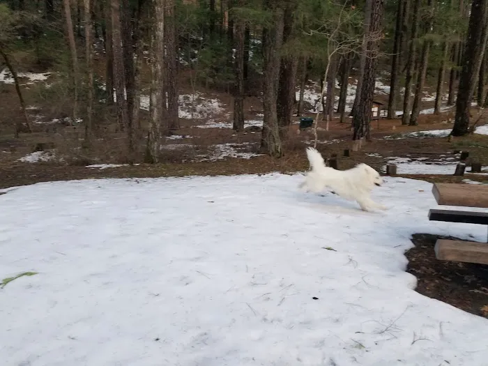 Forest Glen Campground Picture 7