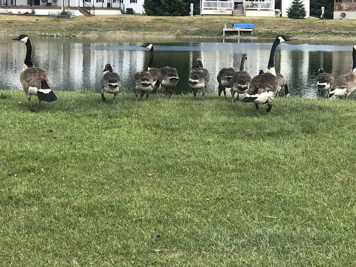 Pine Lakes Community Picture 6