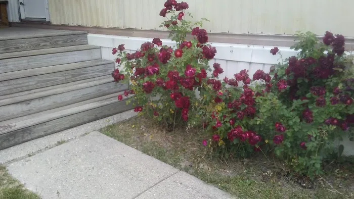 Lapeer Meadows Picture 3