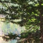 Bailey Canyon Campground
