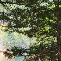 Bailey Canyon Campground ico