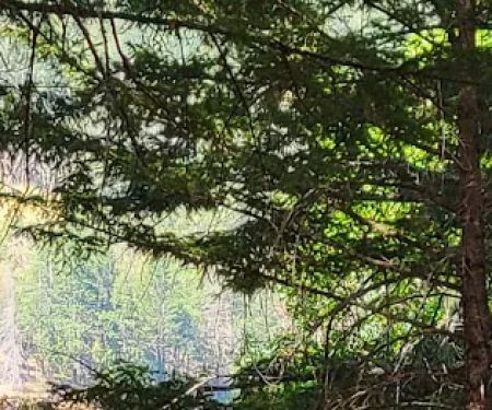 Bailey Canyon Campground