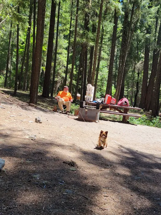 Bailey Canyon Campground Picture 5