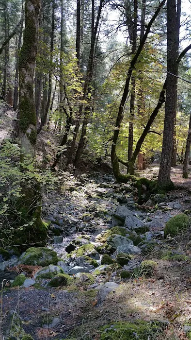 Ruth Lake Campground Picture 10