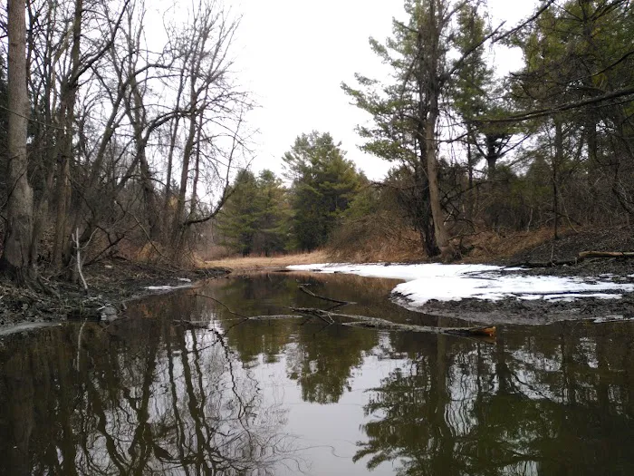 River Ridge MHP Picture 2