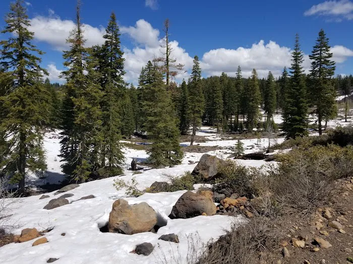 Crater Lake Campground Picture 2