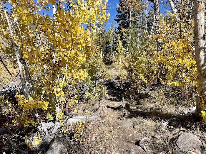 Crater Lake Campground Picture 8