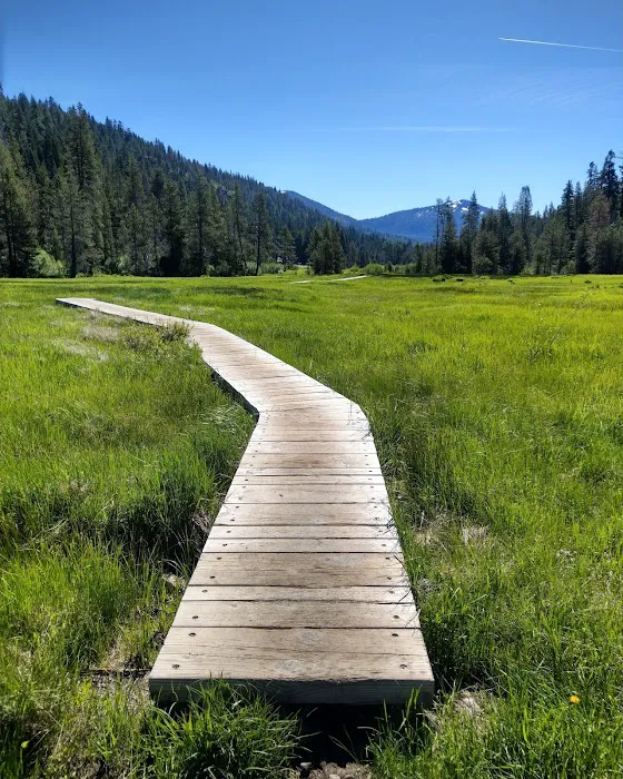 Warner Creek Campground Picture 1