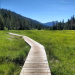 Warner Creek Campground