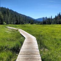 Warner Creek Campground ico