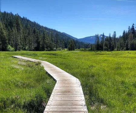 Warner Creek Campground