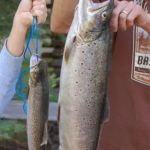 North Shore Campground