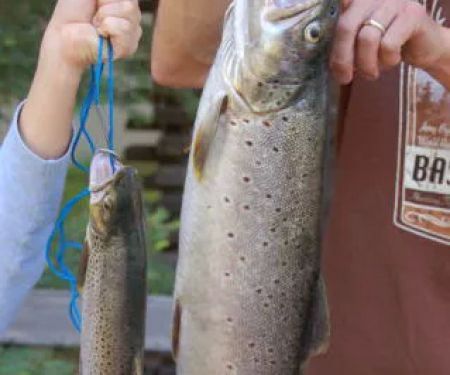 North Shore Campground