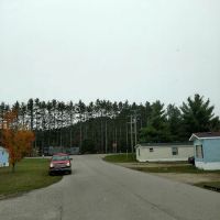 White Birch Estates ico