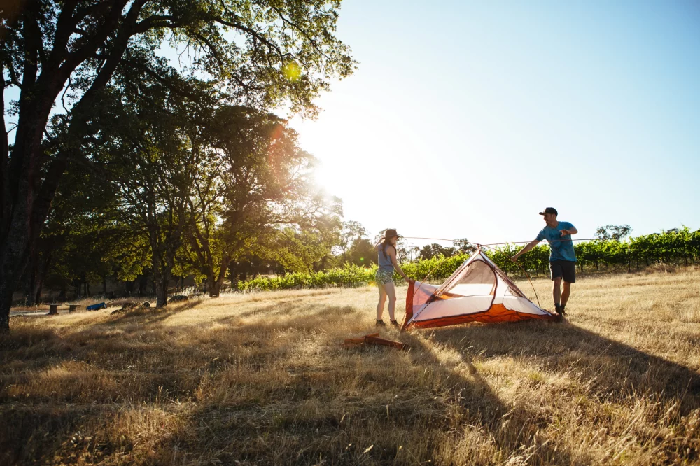 Discover Unique Camping Near Vineyards in California Wine Country