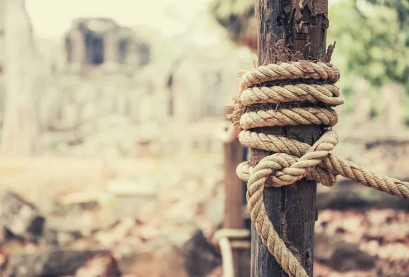 Essential Knots for Campers: Step-by-Step Instructions for Practical Outdoor Applications