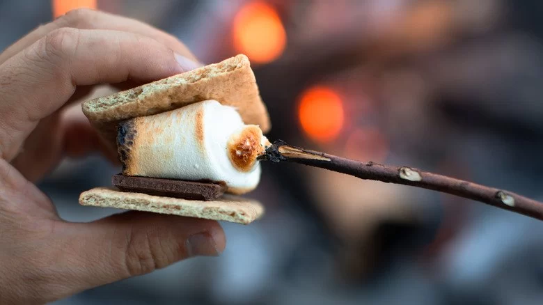 The Joy of Simple Pleasures: S'mores, Stargazing, and Campfire Stories