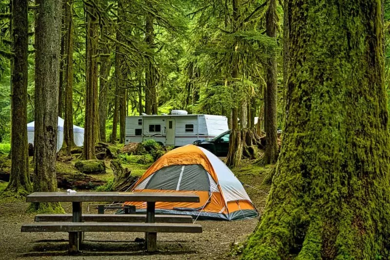 Best Campgrounds Near Me in California: Top-Rated Spots for Tent Camping, RVs, and Cabins (Updated 2025)