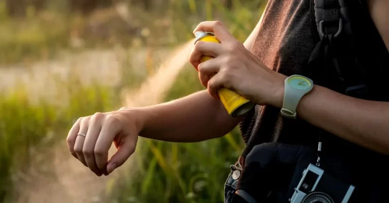 How to Deal with Mosquitoes and Ticks While Camping: Effective Repellents and Prevention Strategies