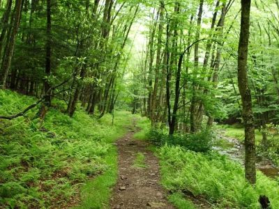 Top Campgrounds With Great Hiking Trailheads Right at or Near the Campsite