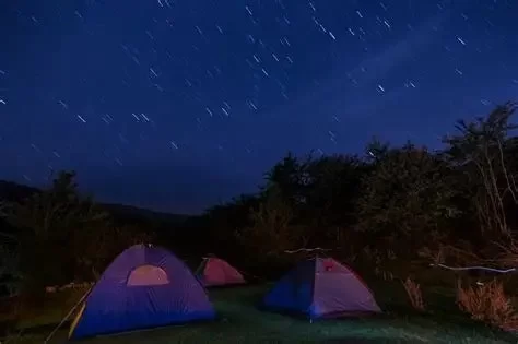 Best Ways to Take Memorable Photos on Your Camping Trip — Landscape, Wildlife, Night Sky
