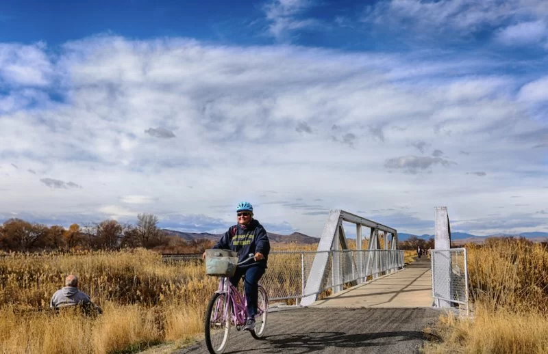 Top Campgrounds With Mountain Biking Trails Nearby