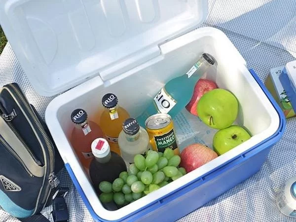 How to Keep Your Food Safe and Fresh While Camping: Expert Tips and Tricks